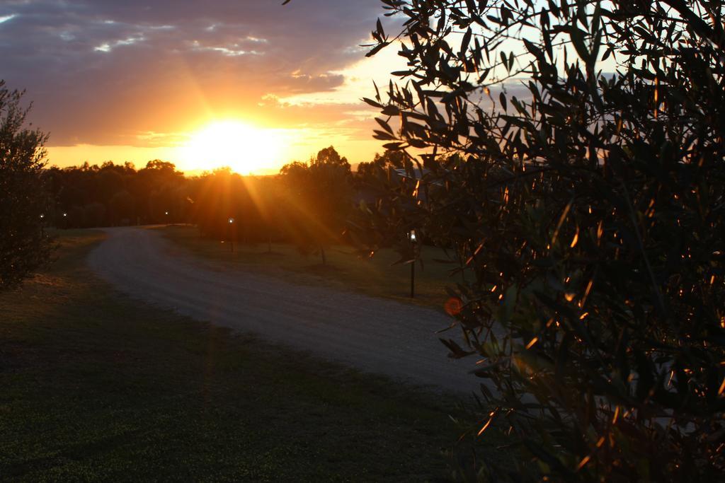 Beltana Villas Pokolbin Buitenkant foto